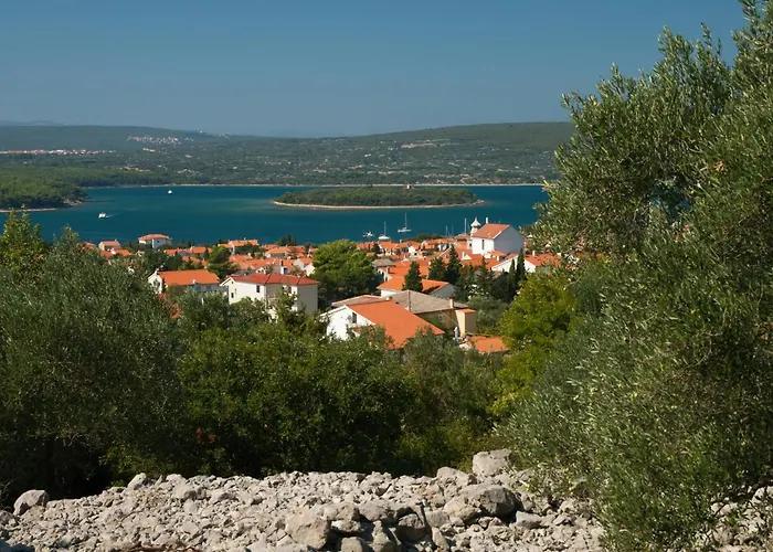 Apartment With A - C In Krk-insel Krk 55016